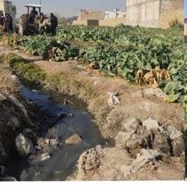 Crops cultivation through contaminated water endanger lives in Quetta 