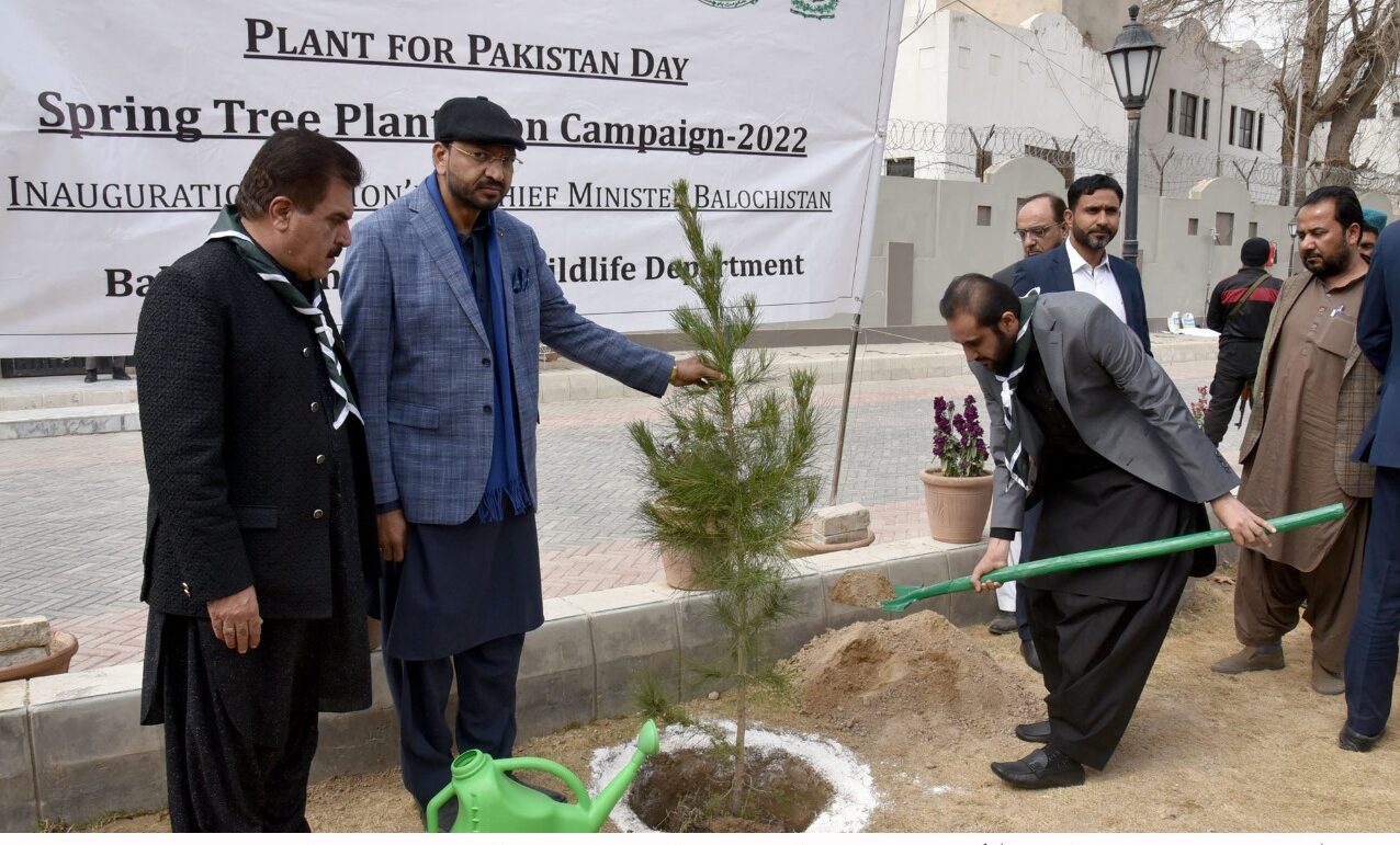 CM Balochistan kicks off plant for Pakistan drive in Quetta