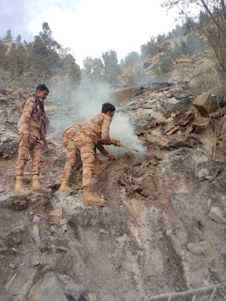 Fire in Chilghoza, olive forest in Sherani district put out completely